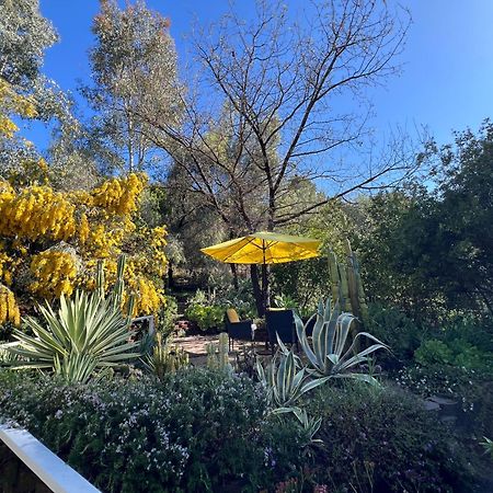 Villa La Reforma - Newly Designed 4Br House & Pool In Los Angeles By Topanga Eksteriør billede