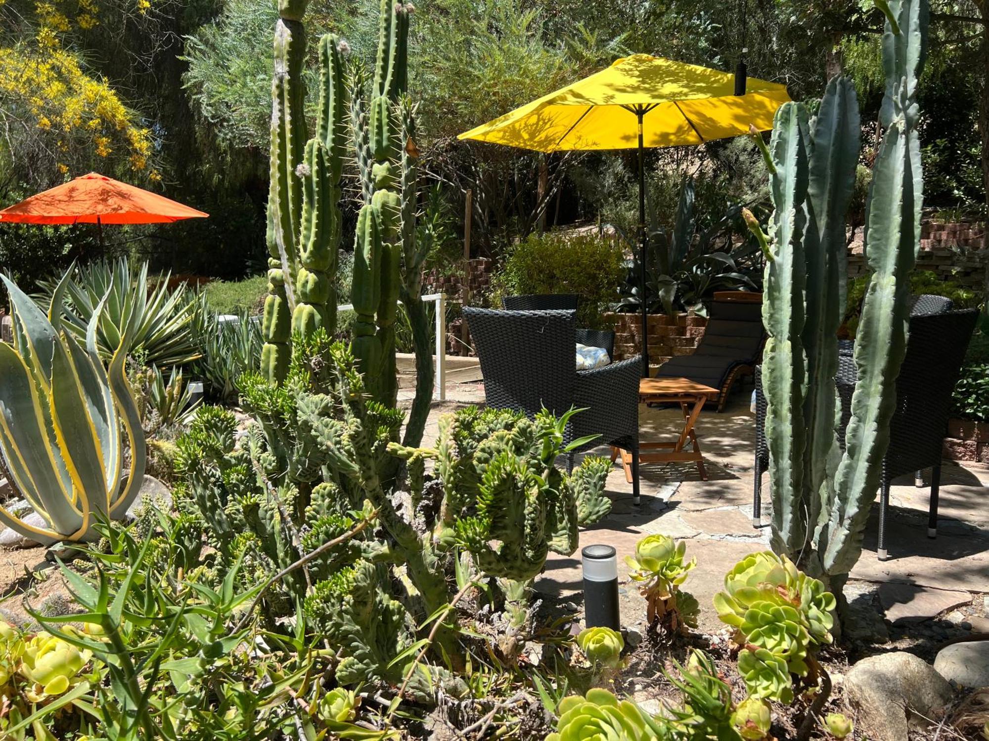 Villa La Reforma - Newly Designed 4Br House & Pool In Los Angeles By Topanga Eksteriør billede